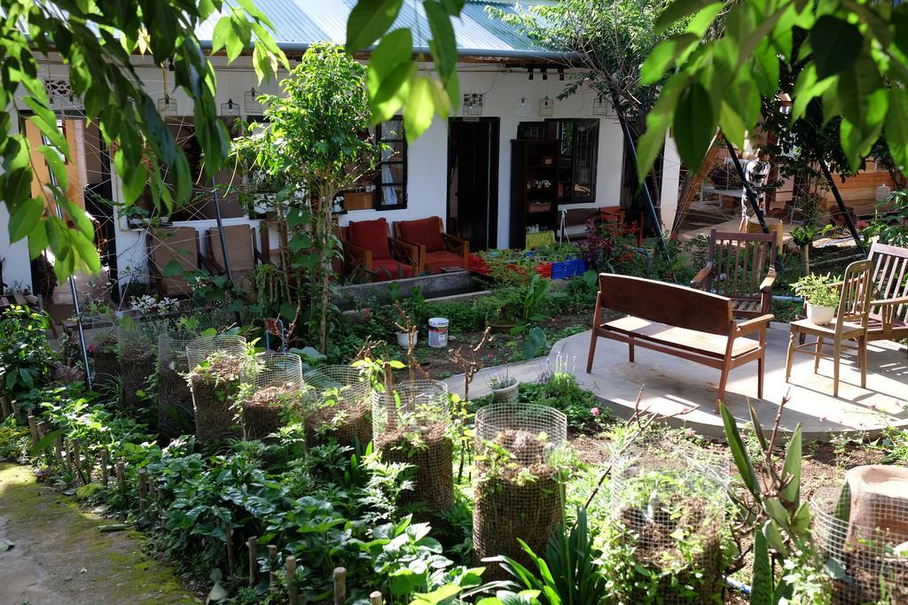 דה לאט Lang Boho Homestay מראה חיצוני תמונה