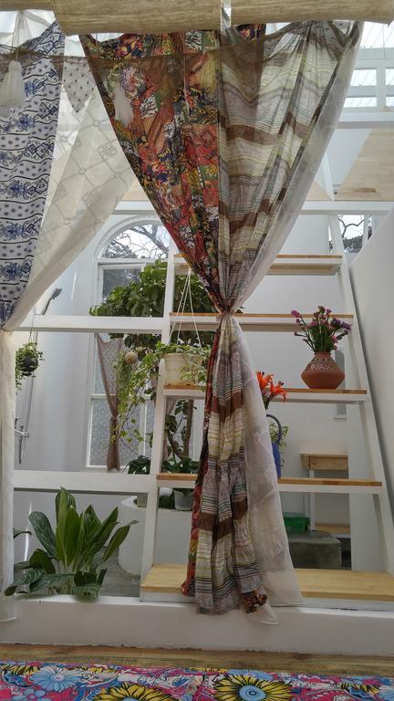 דה לאט Lang Boho Homestay מראה חיצוני תמונה